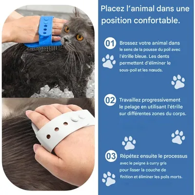 ZooVenture Acier Inoxydable 2-piece Brosse  Set pour Chat et Chien