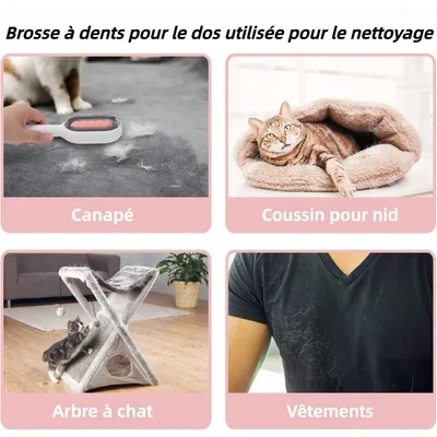 ZooVenture 4 En 1 Brosse Pour Animaux Domestiques