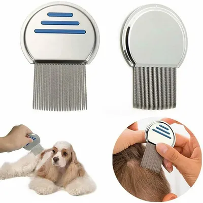 ZooVenture Peigne à poux en acier inoxydable pour animaux domestiques