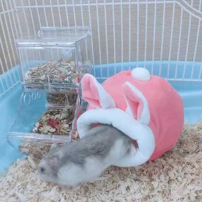 ZooVenture Lit pour hamster et mini hérisson