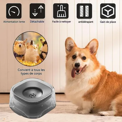 ZooVenture Bebedero de 2 litros para perros y gatos