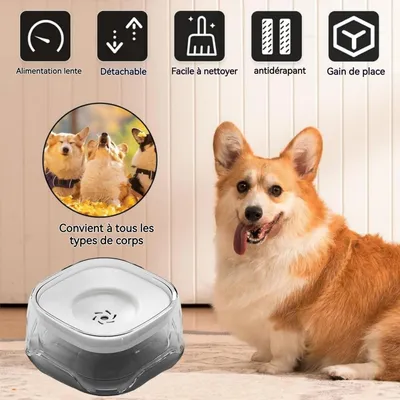 ZooVenture Bebedero de 2 litros para perros y gatos
