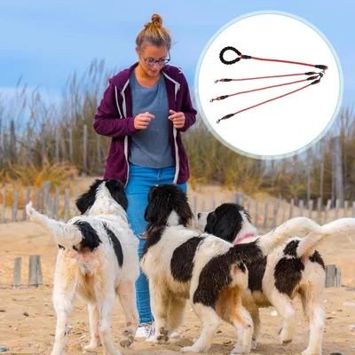 ZooVenture Corde de traction pour chien avec boucle rotative 360°