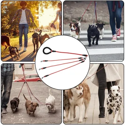 ZooVenture Corde de traction pour chien avec boucle rotative 360°