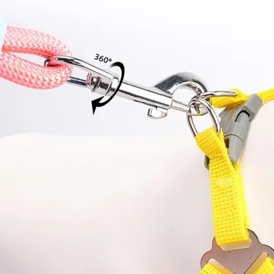 ZooVenture Laisse Chien Mains Libres 1 cm x 1,6 m