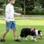 ZooVenture Laisse Chien Mains Libres 1 cm x 1,6 m