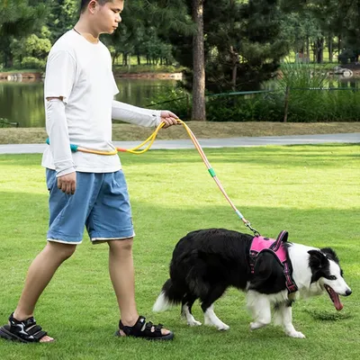 ZooVenture Laisse Chien Mains Libres 1 cm x 1,6 m