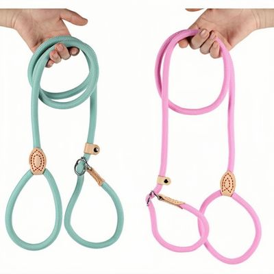 ZooVenture Laisse de dressage pour chiens et chats