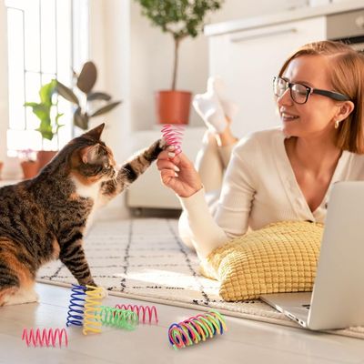 ZooVenture Ressort chat jouet en spirale pour chats