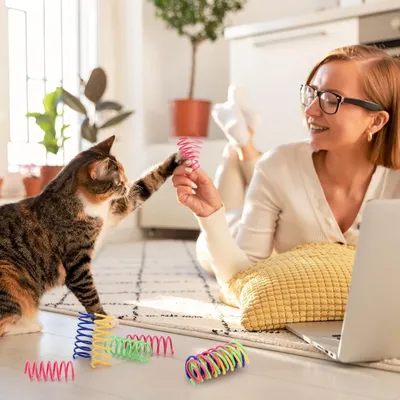 ZooVenture Ressort chat jouet en spirale pour chats