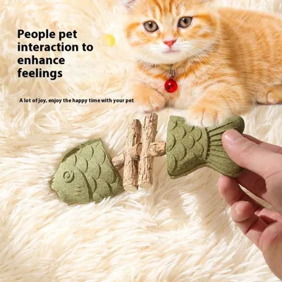 PetTribes Os en bois pour nettoyer les dents de votre chat.