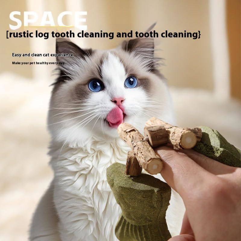 PetTribes Os en bois pour nettoyer les dents de votre chat.