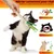 ZooVenture Durables Lot de 4 Jouets à Mâcher d'Herbe à Chat en Feutre