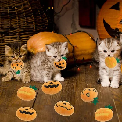 ZooVenture Lot de jouets en forme de citrouille d'Halloween pour chats