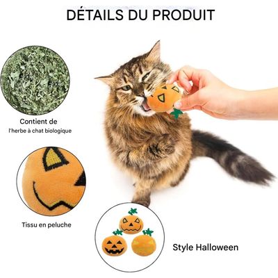 ZooVenture Lot de jouets en forme de citrouille d'Halloween pour chats