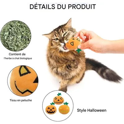 ZooVenture Lot de jouets en forme de citrouille d'Halloween pour chats
