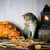 ZooVenture Lot de jouets en forme de citrouille d'Halloween pour chats
