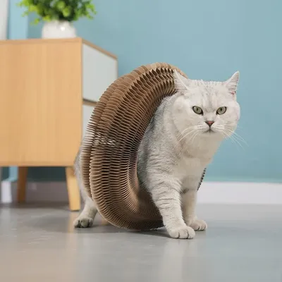 ZooVenture Pliable Griffoir - Jouet 2 en 1 pour Chat