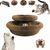 ZooVenture Pliable Griffoir - Jouet 2 en 1 pour Chat