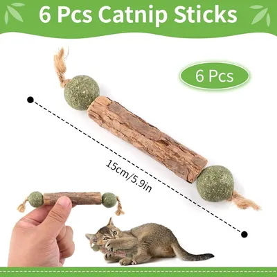 ZooVenture Dentifrice 6 Pcs Bâtonnets Herbe À Chat