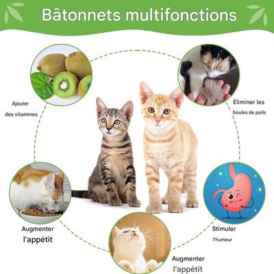 ZooVenture Dentifrice 6 Pcs Bâtonnets Herbe À Chat