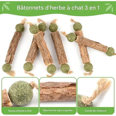 ZooVenture Dentifrice 6 Pcs Bâtonnets Herbe À Chat