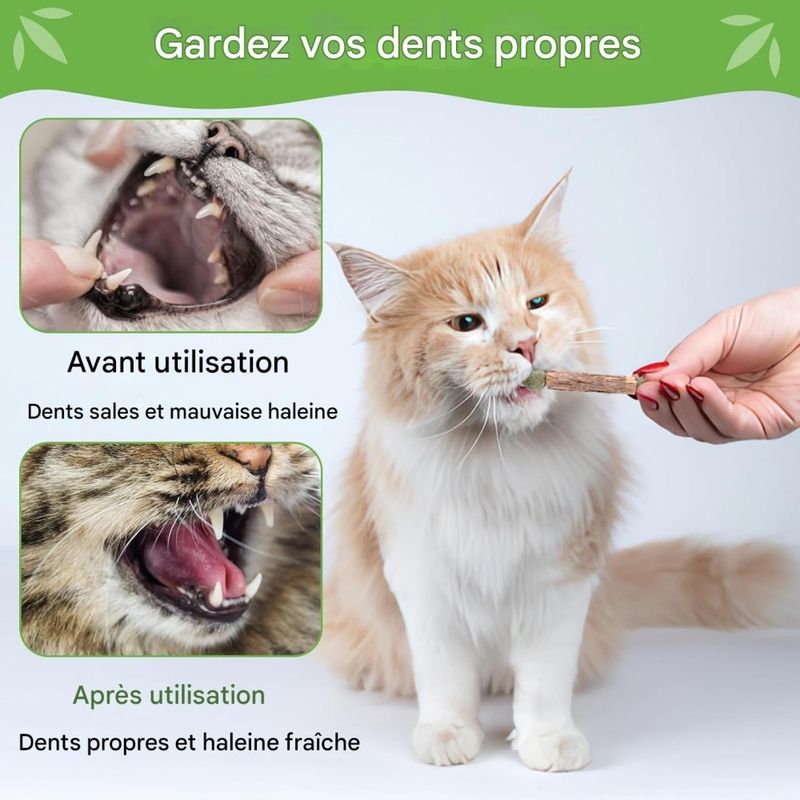 ZooVenture Dentifrice 6 Pcs Bâtonnets Herbe À Chat