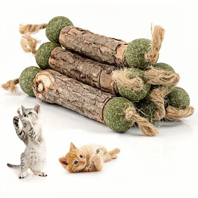 ZooVenture Dentifrice 6 Pcs Bâtonnets Herbe À Chat