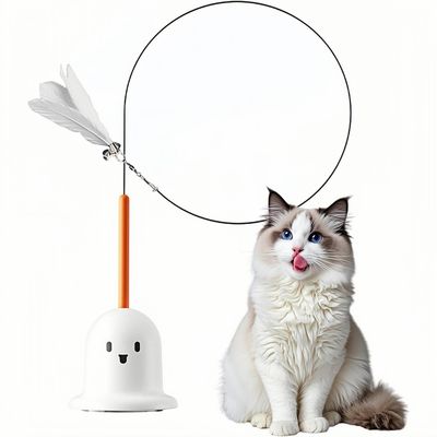 ZooVenture Canne à pêche Teaser pour chat