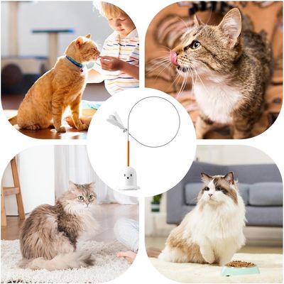 ZooVenture Caña de pescar señuelo para gatos