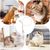 ZooVenture Canne à pêche Teaser pour chat