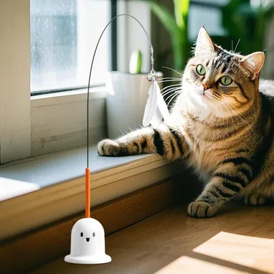 ZooVenture Canne à pêche Teaser pour chat