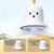 ZooVenture Canne à pêche Teaser pour chat