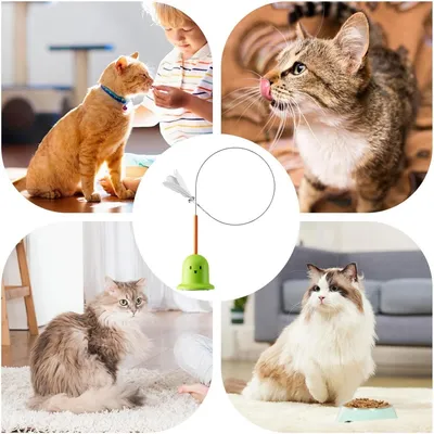 ZooVenture Canne à pêche Teaser pour chat