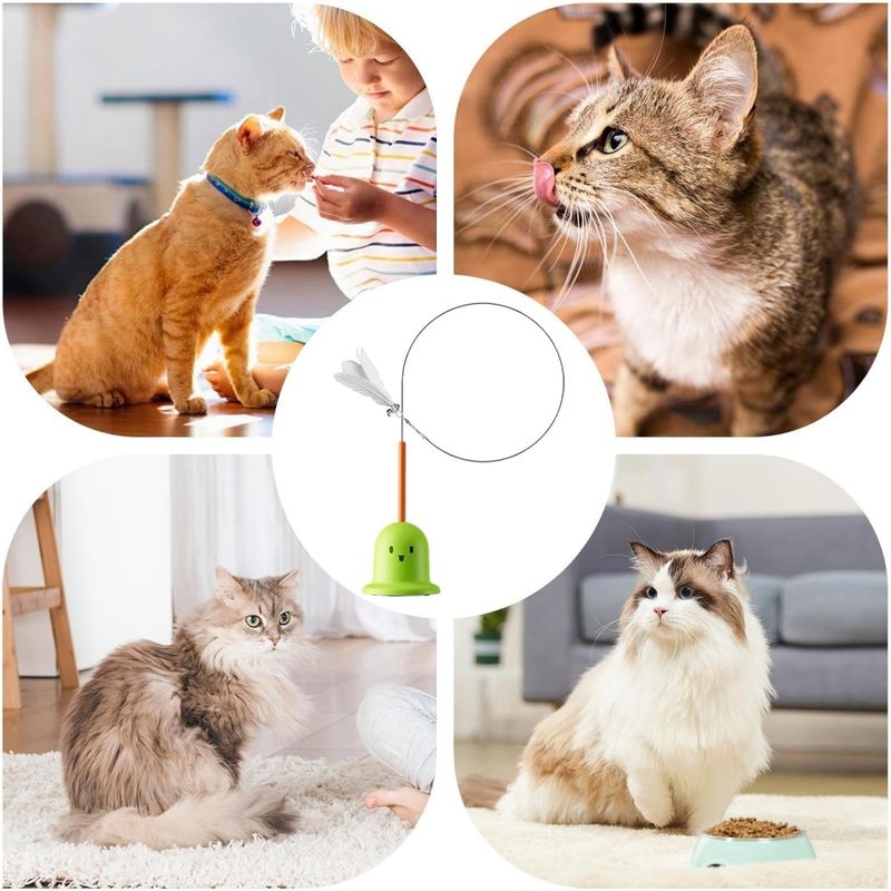 ZooVenture Canne à pêche Teaser pour chat