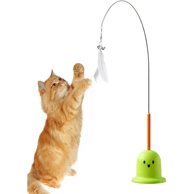 ZooVenture Canne à pêche Teaser pour chat