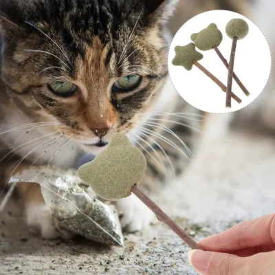 ZooVenture Interactive 3 Pièces Sucettes À La Menthe À Chat