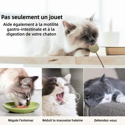 ZooVenture Interactive 3 Pièces Sucettes À La Menthe À Chat