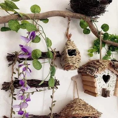 ZooVenture MainFait Nid Oiseau Pour Colibris Perruche