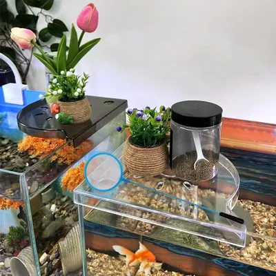 ZooVenture Pratique Support d'angle d'aquarium pour plantes aquatiques