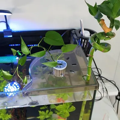 ZooVenture Pratique Support d'angle d'aquarium pour plantes aquatiques