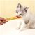 ZooVenture Cuillère à friandises pour chat Orange + Vert 2 pièces