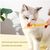 ZooVenture Cuillère à friandises pour chat Orange + Vert 2 pièces