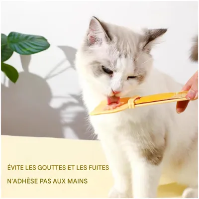 ZooVenture Cuillère à friandises pour chat Orange + Vert 2 pièces