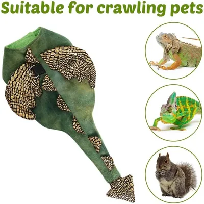 ZooVenture Harnais et laisse pour reptiles et petits animaux