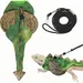 ZooVenture Harnais et laisse pour reptiles et petits animaux