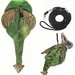 ZooVenture Harnais et laisse pour reptiles et petits animaux
