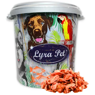 Lyra Pet® carottes