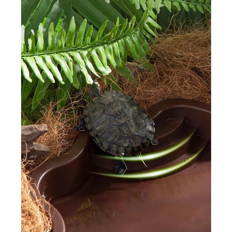 ZooVenture Baignoire et bac d'alimentation pour reptiles