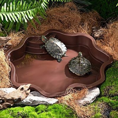 ZooVenture Baignoire et bac d'alimentation pour reptiles